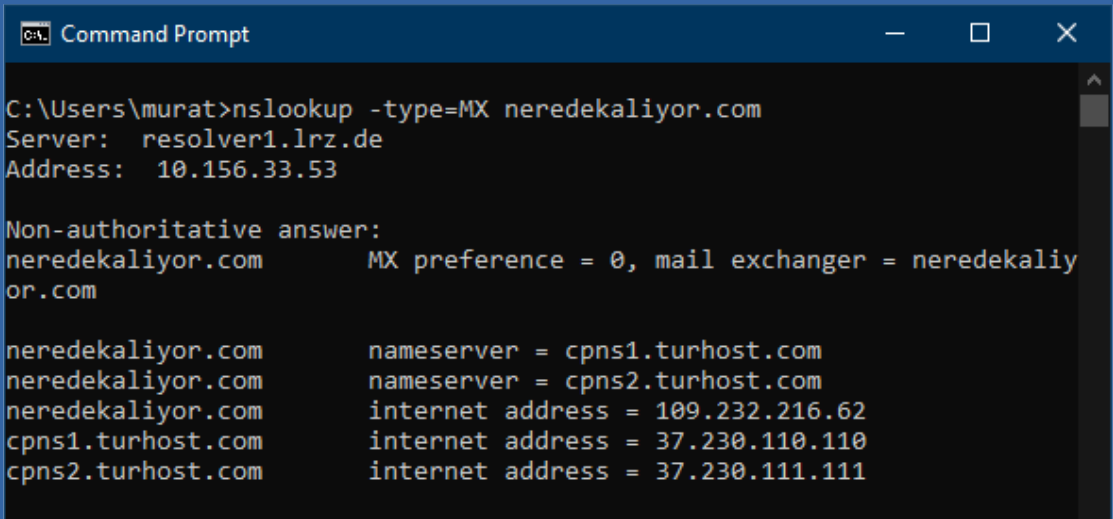 dns_records_with_nslookup