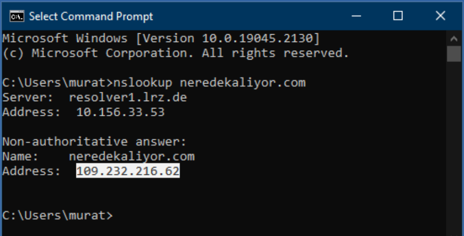 nslookup