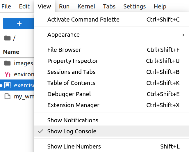 Show Log Console